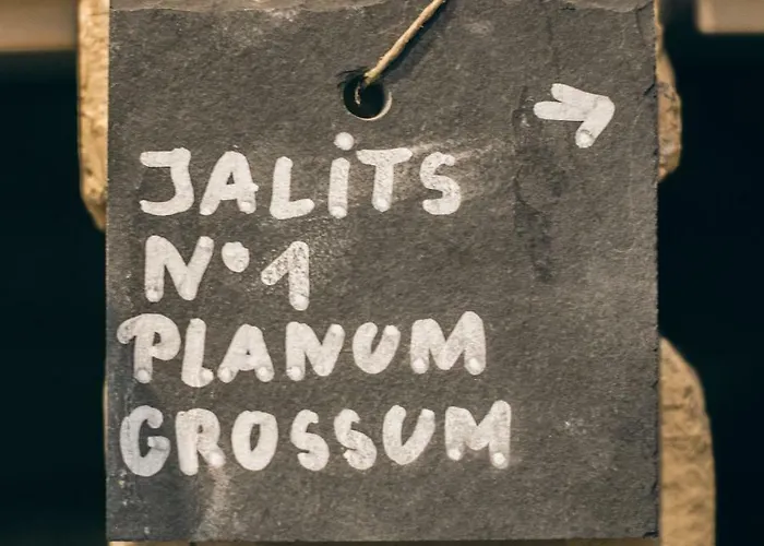 Alpine Sportalm 4* St. Leonhard im Pitztal